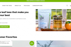Custom Shopify Website Development